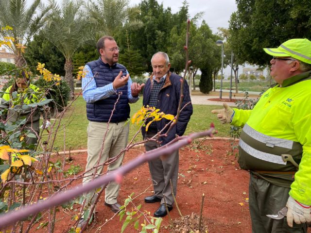 El Ayuntamiento poda más de 10.000 rosales para fomentar su floración de cara a la primavera - 1, Foto 1