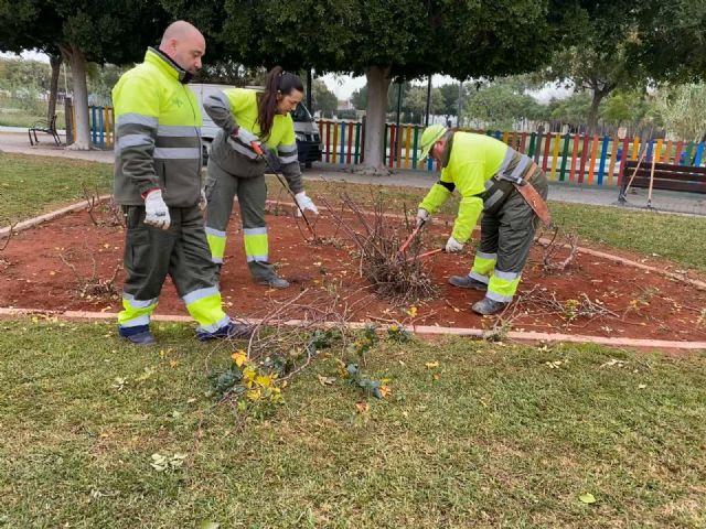 El Ayuntamiento poda más de 10.000 rosales para fomentar su floración de cara a la primavera - 2, Foto 2