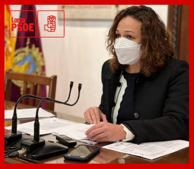 PSOE: Los ediles de IU-Verdes continúan con su empeño en dinamitar a base de mentiras y falsas acusaciones las relaciones con el equipo de Gobierno de Lorca - 1, Foto 1