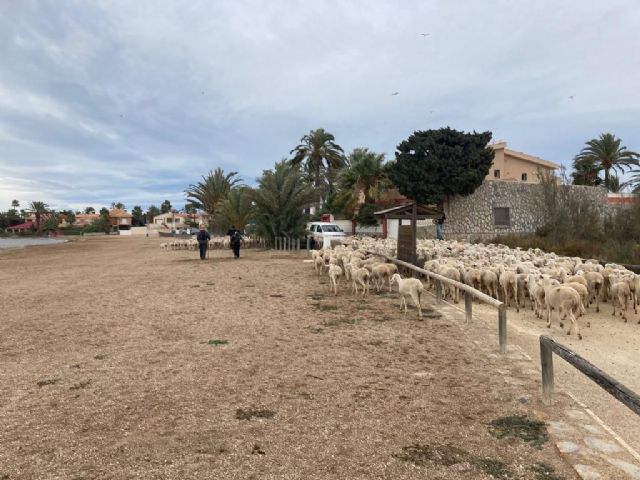 MC exigirá al Gobierno regional que adecúe y proteja las vías pecuarias de Cartagena - 2, Foto 2