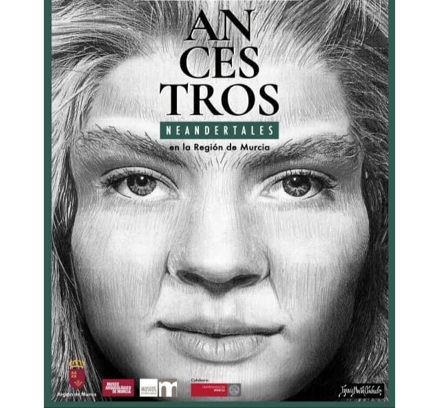 Este martes se inaugura la exposición Ancestros. Neandertales en la Región de Murcia en el Museo Siyāsa - 1, Foto 1