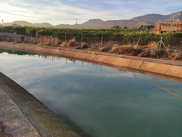 Los Ribereños celebran la aprobación de los caudales ecológicos del Tajo como un cambio definitivo de tendencia - 1, Foto 1