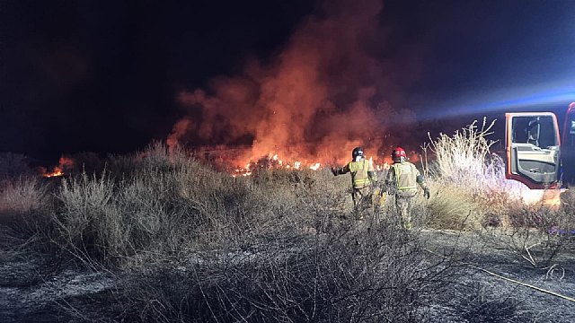 Incendio de matorral bajo entre la carretera de La Bastida y el Trasvase, Foto 4