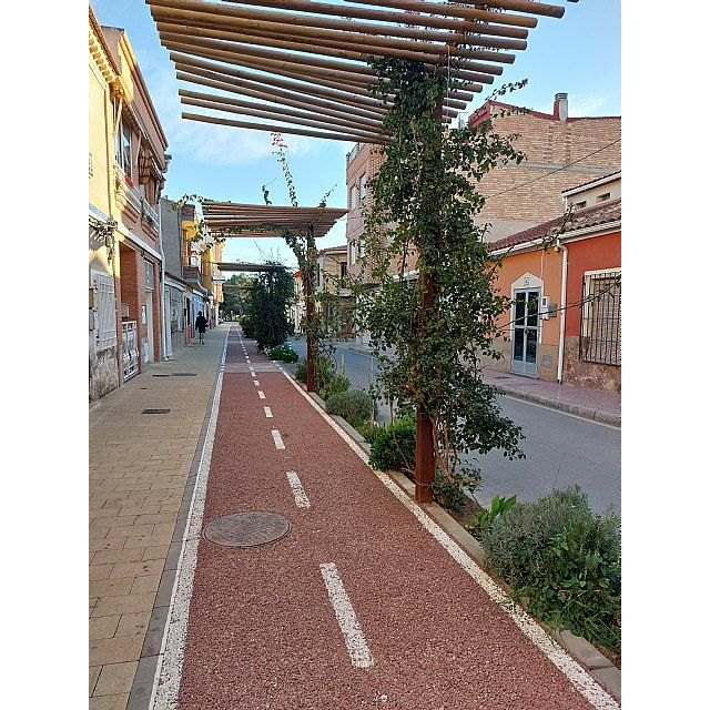 El PSOE de Alcantarilla denuncia el abandono del carril bici del barrio de Las Tejeras - 1, Foto 1