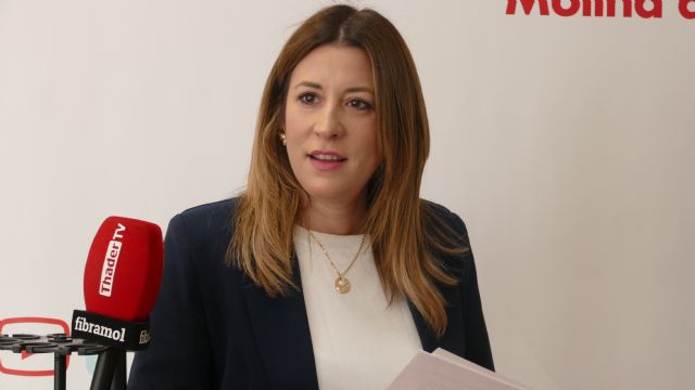 El PSOE de Molina de Segura denuncia ante el Defensor del Pueblo el uso partidista de los medios institucionales - 1, Foto 1