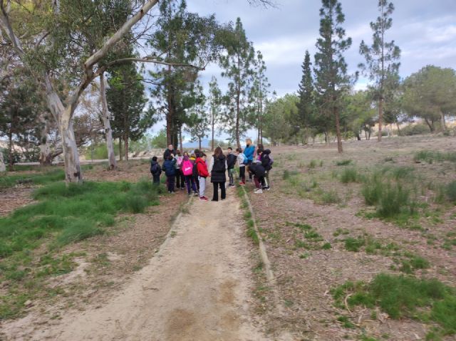 Alumnado de 4° de Primaria de Colegio de Fátima conoce el Proyecto Anillo Verde de Molina de Segura realizando un itinerario por la Rambla de las Monjas - 1, Foto 1