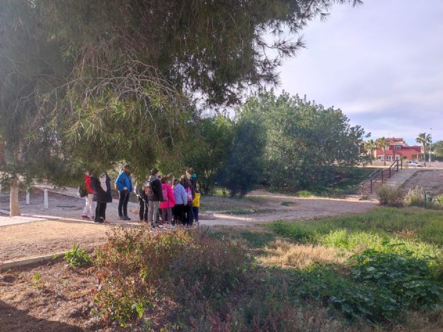 Alumnado de 4° de Primaria de Colegio de Fátima conoce el Proyecto Anillo Verde de Molina de Segura realizando un itinerario por la Rambla de las Monjas - 3, Foto 3