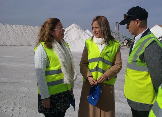 Industria presenta a los empresarios pinatarenses  ayudas a la eficiencia energética y energías renovables - 1, Foto 1