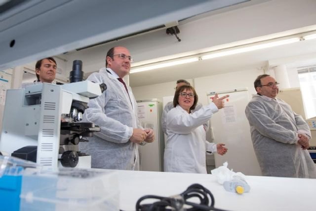 Pedro Antonio Sánchez: Nuestra fortaleza y la palanca de futuro de la Región de Murcia está en nuestras universidades - 5, Foto 5