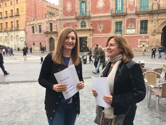 Carreño: El Mar Menor será el centro de debate en la ponencia sobre Agua y Medio Ambiente en el Congreso autonómico - 1, Foto 1