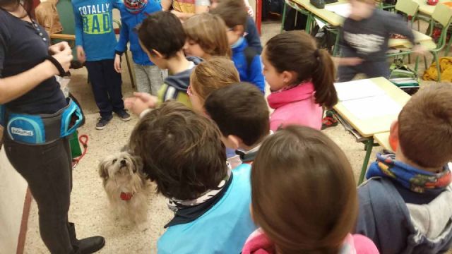 Los alumnos de los colegios de  Cehegín reciben charlas  sobre la concienciación del bienestar animal - 2, Foto 2