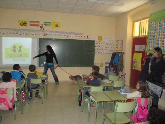 Los alumnos de los colegios de  Cehegín reciben charlas  sobre la concienciación del bienestar animal - 4, Foto 4