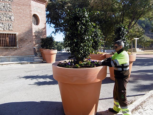 Medio millar de pensamientos embellecen el entorno de la Fuensanta - 1, Foto 1