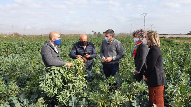 La Comunidad trabaja en prácticas de riego y fertilización más eficientes que minimicen el estrés ambiental o nutricional de los productos - 1, Foto 1