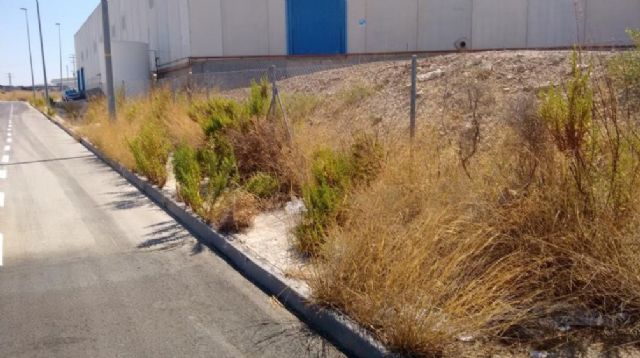 Adjudicado un proyecto integral de desbroce, barrido y fumigación de maleza, por primera vez en todas las áreas empresariales de Molina de Segura - 1, Foto 1