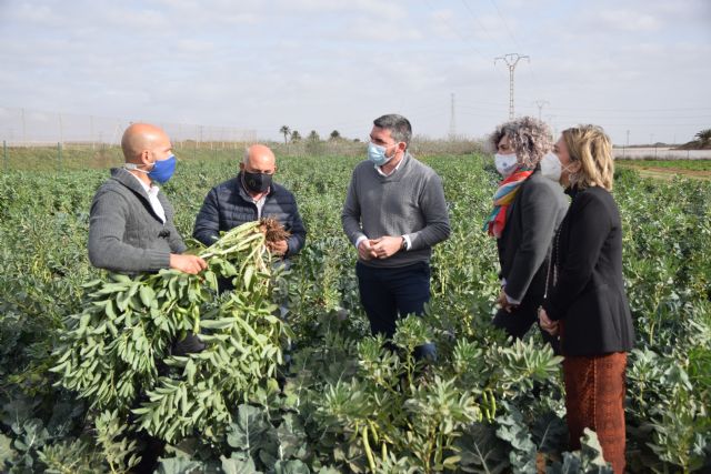 El consejero de Agricultura alaba los beneficios de los cultivos combinados que ha demostrado el proyecto AsociaHortus - 1, Foto 1