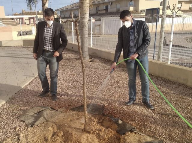 La UMU estudiará y promocionará los bolos cartageneros como parte de un proyecto europeo dedicado a proteger deportes tradicionales - 1, Foto 1