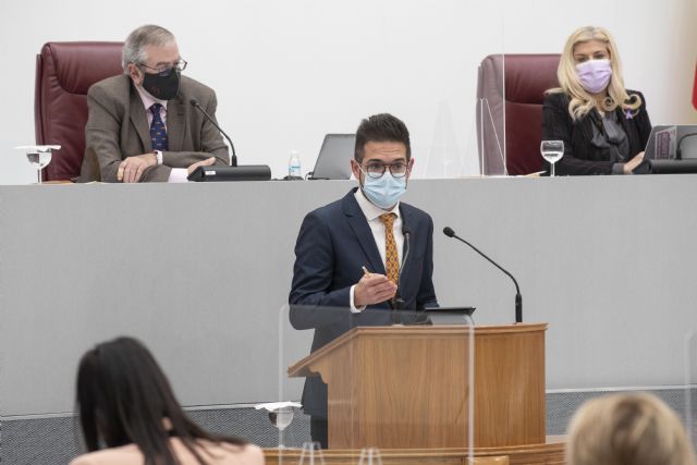 El PSOE consigue aprobar en la Asamblea una iniciativa para fomentar y reforzar la educación afectivo-sexual en las aulas y el respeto a la igualdad - 2, Foto 2