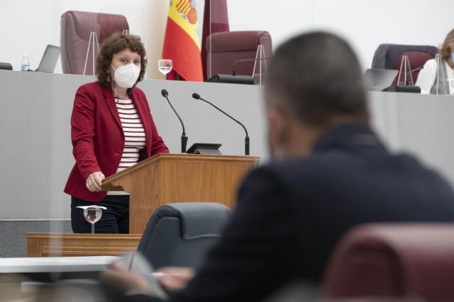 Podemos obliga a los diputados a presentar su certificado de vacunación - 1, Foto 1