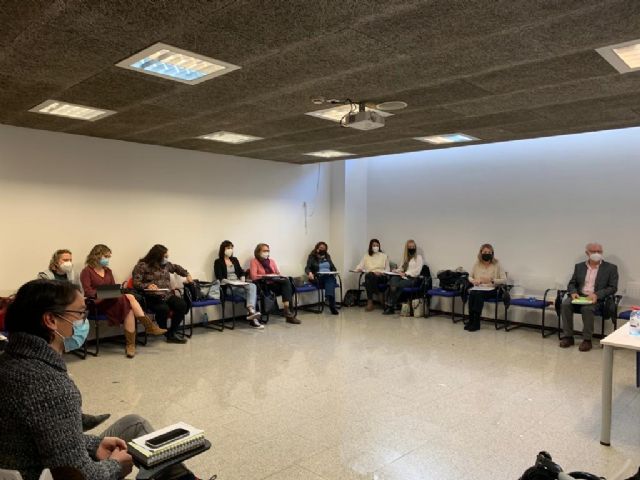 Constituida la comisión técnica para regular la atención temprana en la Región - 1, Foto 1