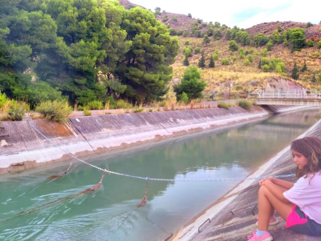 La Comisión Central de Explotación del Acueducto Tajo Segura constata el escenario 2 para el mes de febrero - 1, Foto 1