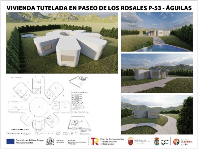 Moreno anuncia la cesión de un terreno para la construcción de dos viviendas tuteladas para personas con discapacidad - 3, Foto 3