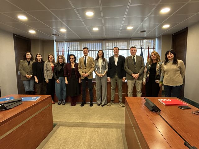 ASOCOMY y la concejala de Comercio del Ayuntamiento de Yecla comparecen en la Asamblea Regional para explicar la situación del pequeño comercio en la Región - 4, Foto 4