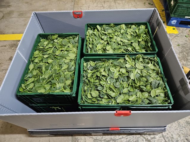 Proexport pone a prueba un nuevo sistema de transporte de frutas y hortalizas, para reducir el desperdicio alimentario - 1, Foto 1