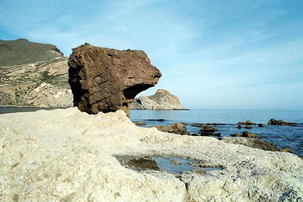 1 de marzo: Día Mundial de los Pastos Marinos - 4, Foto 4