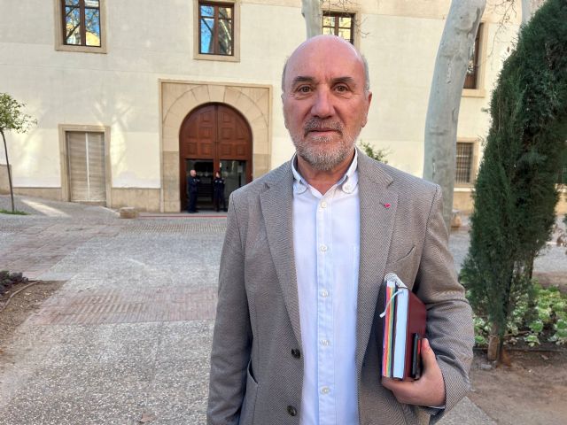 IU-Verdes lleva a la Asamblea Regional la falta de planificación e inversiones en el Consorcio de Bomberos tras el incendio de Águilas - 2, Foto 2