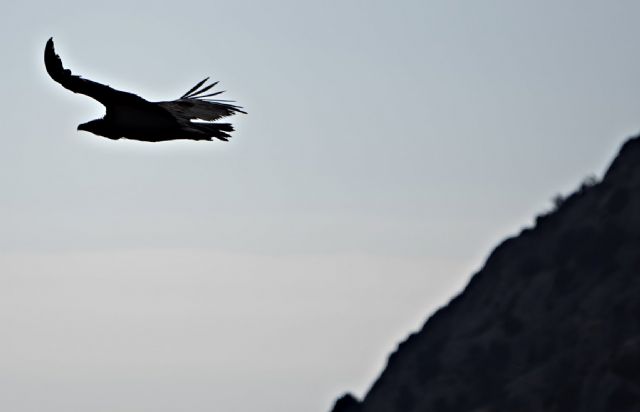El parque nacional de Sierra Espuña (y Lorca dentro de él) tendrá que esperar - 2, Foto 2