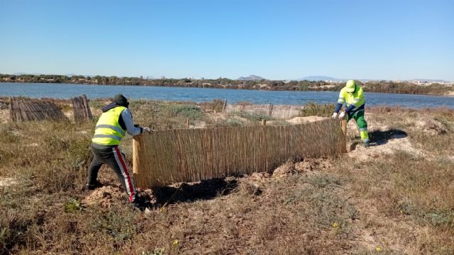 San Pedro del Pinatar impulsa la Recuperación Ambiental de las playas del mediterráneo - 2, Foto 2
