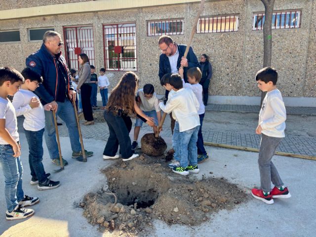El CEIP Carolina Codorníu Bosch se suma al Plan Foresta con la plantación de nuevo arbolado autóctono en el colegio - 4, Foto 4