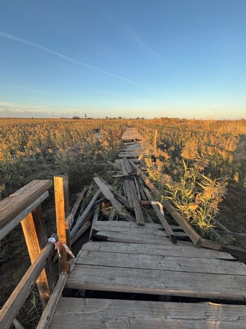 PLEAMAR exige un plan real para La Hita y recuerda que las administraciones han tenido un año para actuar - 2, Foto 2