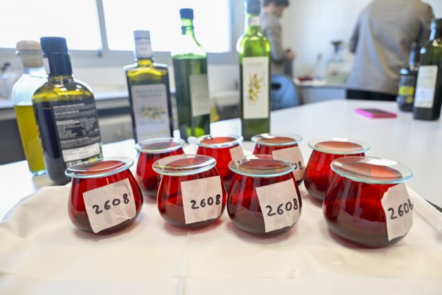 Murcia Oleum elige a Olimendros Coupage, VR Picual y Guazatales ecológico como los mejores AOVEs murcianos en su primera edición - 2, Foto 2