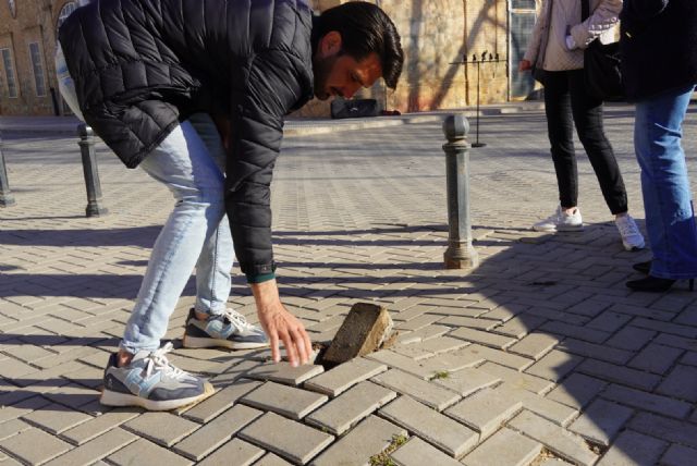 El Ayuntamiento ha retirado un pino carrasco junto a la estación de autobuses por alto riesgo de vuelco y el peligro de caídas de los viandantes - 2, Foto 2
