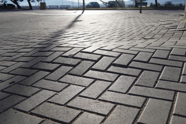 El Ayuntamiento ha retirado un pino carrasco junto a la estación de autobuses por alto riesgo de vuelco y el peligro de caídas de los viandantes - 3, Foto 3