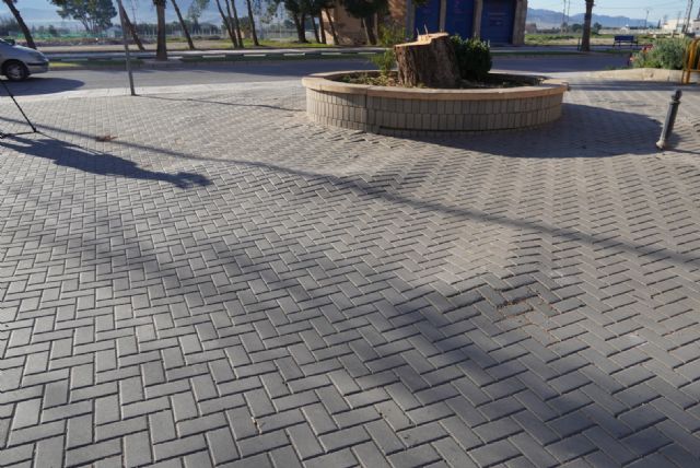 El Ayuntamiento ha retirado un pino carrasco junto a la estación de autobuses por alto riesgo de vuelco y el peligro de caídas de los viandantes - 4, Foto 4