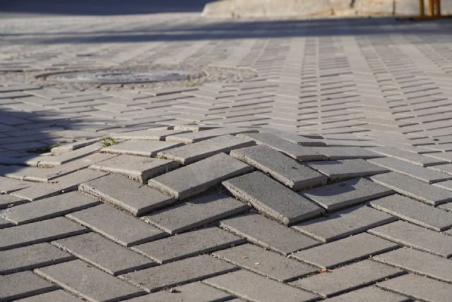 El Ayuntamiento ha retirado un pino carrasco junto a la estación de autobuses por alto riesgo de vuelco y el peligro de caídas de los viandantes - 5, Foto 5