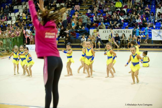 600 gimnastas de entre 3 y 17 años dan cuenta de la buena salud de la Gimnasia Ritmica en Cartagena - 1, Foto 1