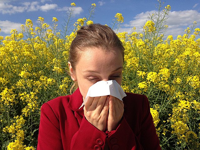 Conducir con alergia incrementa un 30% el riesgo de sufrir un accidente - 1, Foto 1