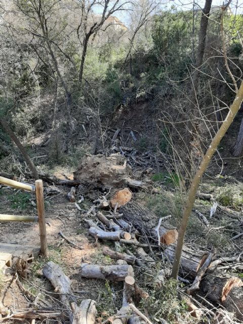 Labores de conservación medioambiental en el Barranco de La Regidora - 1, Foto 1