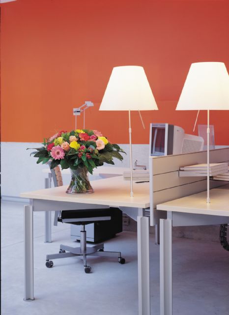 El flower power o porqué las flores son tus aliadas para aliviar el estrés, la ansiedad y la tristeza - 3, Foto 3