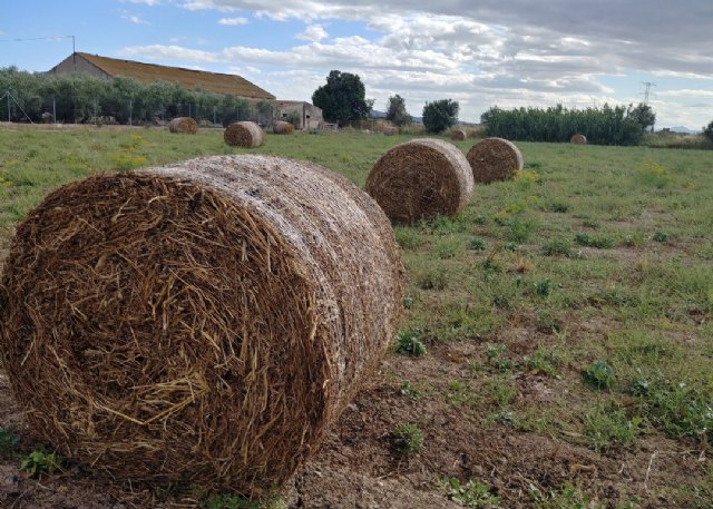 FADEMUR reivindica los diez derechos de la población mayor rural - 1, Foto 1