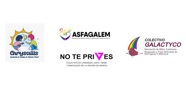 La Plataforma LGTB se une a la protesta contra la Educarm ante el mercadeo de la Consejería de Educación por parte de López Miras - 1, Foto 1