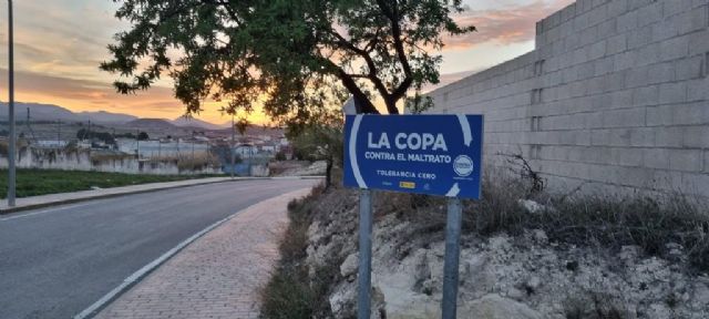 El Ayuntamiento de Bullas se suma a la campaña 'Municipios contra el maltrato' - 3, Foto 3