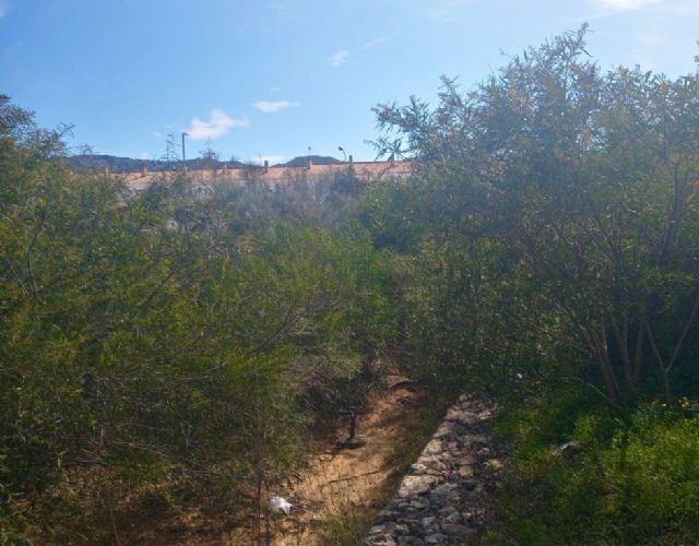 El PP de La Unión solicita la inmediata limpieza de las ramblas del municipio - 4, Foto 4