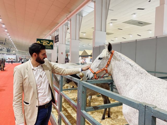 VOX visita Equimur y defiende el caballo de pura raza - 2, Foto 2