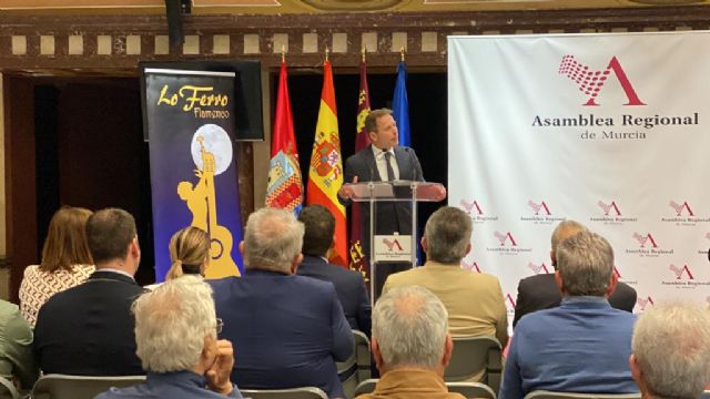 La luz de Lo Ferro brilla en la Asamblea Regional - 1, Foto 1