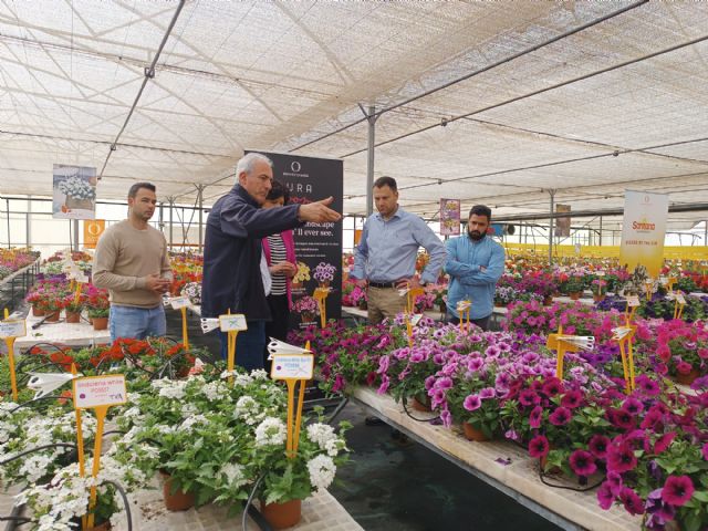 El director general del Agua y la alcaldesa de Puerto Lumbreras visitan la empresa Dümmen Orange - 1, Foto 1